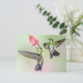 Carte Postale Costa Rica Hummingbird Couple Volant Ensemble (Debout devant)