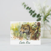 Carte Postale Costa Rica Jaguar (Debout devant)
