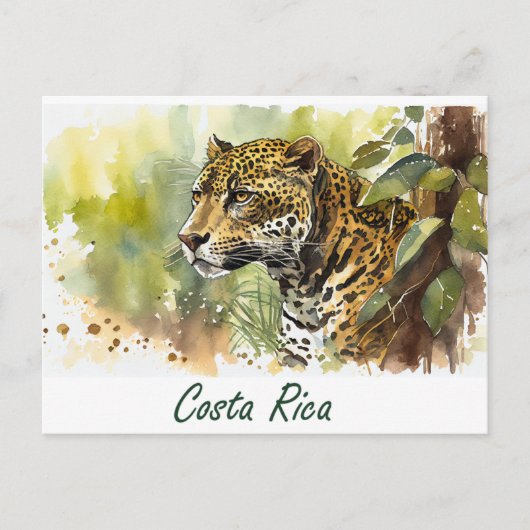 Carte Postale Costa Rica Jaguar (Devant)