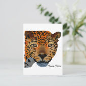 Carte Postale Costa Rica Jaguar (Debout devant)