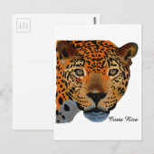 Carte Postale Costa Rica Jaguar (Devant / Derrière)
