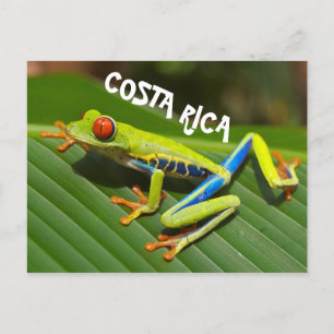 Carte Postale Costa Rica photo de grenouille aux yeux rouges
