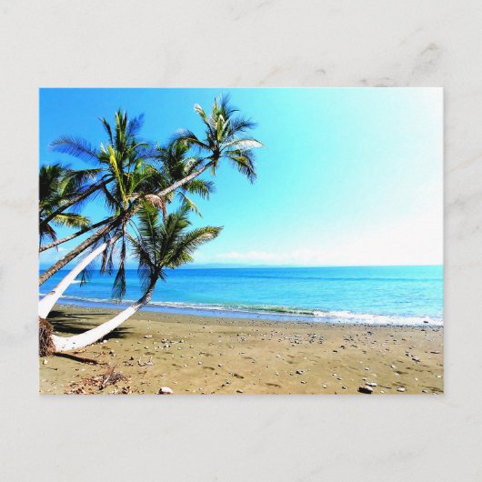 Carte Postale Costa Rica, plage avec palmier (Devant)
