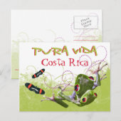 Carte postale Costa Rica Pura Vida Tree Frog (Devant / Derrière)