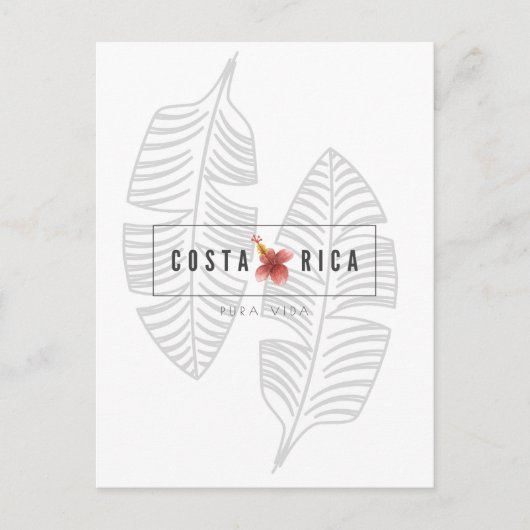 Carte postale Costa Rica Pura Vida Tropical Leaf (Devant)