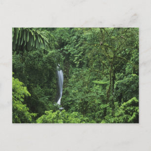 Carte Postale Costa Rica, région du volcan Arenal, ponts suspend