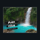 Carte Postale Costa Rica Rio Celeste Cascade vacances<br><div class="desc">Carte postale du Costa Rica avec photo de la belle cascade de Rio Celeste et imprimé avec la devise nationale "pura vida". Imprimez le dos de la carte postale avec votre message, l'adresse de retour et l'adresse de la personne à laquelle vous envoyez la carte. Si vous voulez laisser vide...</div>