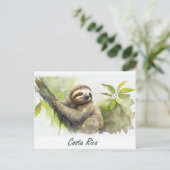 Carte Postale Costa Rica Sloth (Debout devant)