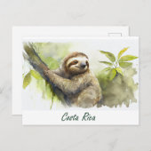 Carte Postale Costa Rica Sloth (Devant / Derrière)