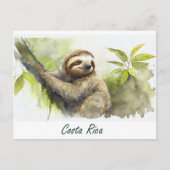 Carte Postale Costa Rica Sloth (Devant)