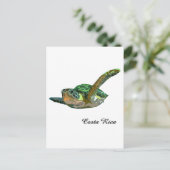 Carte Postale Costa Rica Tortue de mer (Debout devant)