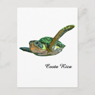 Carte Postale Costa Rica Tortue de mer
