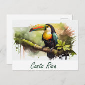 Carte Postale Costa Rica Toucan (Devant / Derrière)