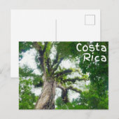 Carte postale Costa Rica Tree Photography (Devant / Derrière)
