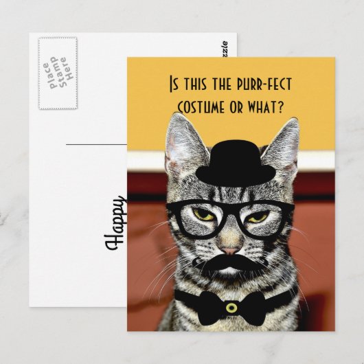 Carte Postale Costume de chat Purr-fect (Devant / Derrière)