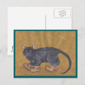 Carte Postale Costume Kitty (Devant / Derrière)