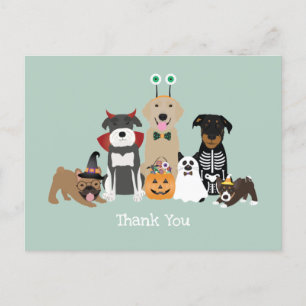 Carte Postale Costumes d'Halloween pour animaux de compagnie eff