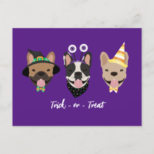 Carte Postale Costumes d'Halloween pour chien de taureau françai