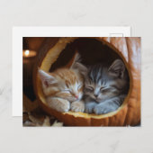 Carte Postale Cosy Kittens Snuggle dans un Citrouille (Devant / Derrière)