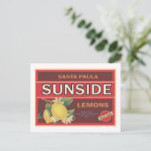 Carte Postale Côté (Debout devant)