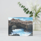 Carte Postale Côte d'Aruba (Debout devant)