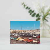 Carte Postale Côte d'Azur à Cannes (Debout devant)