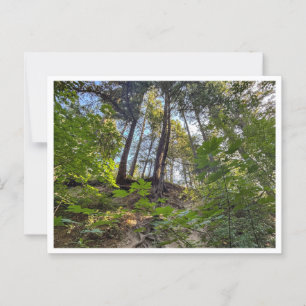 Carte Postale Côte de la colline