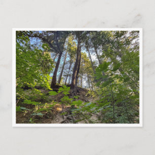 Carte Postale Côte de la colline