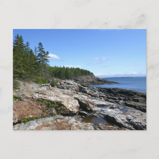 Carte Postale Côte de l'île Bar dans le parc national Acadia (Devant)