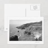 Carte Postale Côte de l'Oregon Nord de Look Out Cape Fowlweathe (Devant / Derrière)