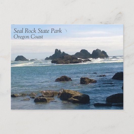 Carte Postale Côte de Seal Rock Oregon (Devant)