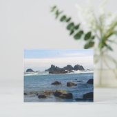 Carte Postale Côte de Seal Rock Oregon (Debout devant)