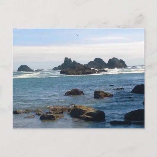 Carte Postale Côte de Seal Rock Oregon (Devant)