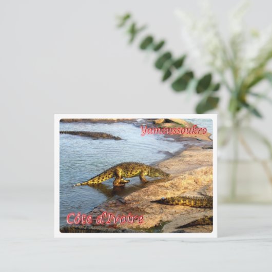 Carte Postale Côte d'Ivoire - Yamoussoukro - (Debout devant)