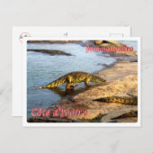 Carte Postale Côte d'Ivoire - Yamoussoukro - (Devant / Derrière)