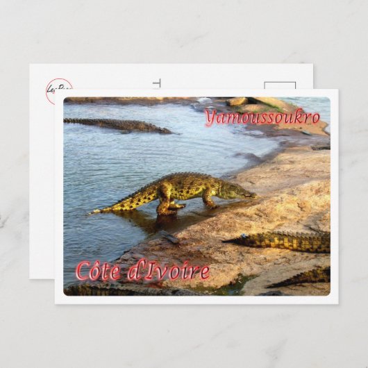 Carte Postale Côte d'Ivoire - Yamoussoukro - (Devant / Derrière)