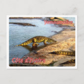 Carte Postale Côte d'Ivoire - Yamoussoukro - (Devant)