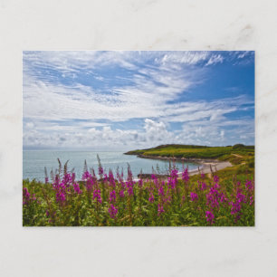 Carte Postale Côte du Nord du Pays de Galles