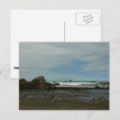 Carte Postale Côte du Pacifique à Redwood National Park (Devant / Derrière)