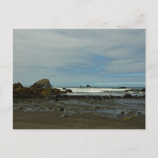 Carte Postale Côte du Pacifique à Redwood National Park (Devant)