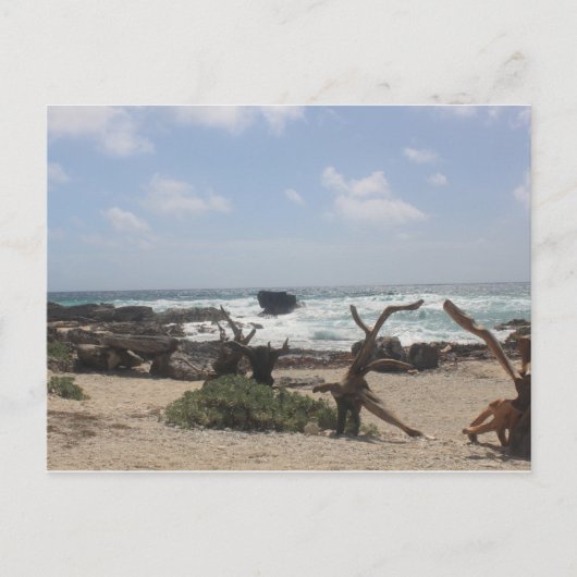 Carte Postale Côte Est de Cozumel (Devant)