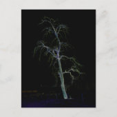 Carte Postale Côté foncé 8 pccna (Devant)