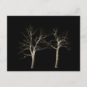 Carte Postale Côté foncé 9 ccna