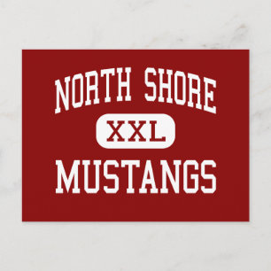 Carte Postale Côte Nord - Mustangs - High - Houston Texas