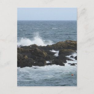 Carte Postale Côte rocheuse à York Maine