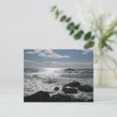 Carte Postale Côte Sonoma, Bodega, Ca Blank (Debout devant)