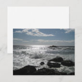 Carte Postale Côte Sonoma, Bodega, Ca Blank (Devant / Derrière)