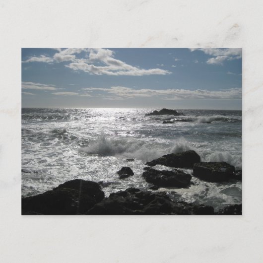 Carte Postale Côte Sonoma, Bodega, Ca Blank (Devant)