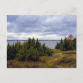 Carte Postale Côte tranquille de Vormsi (Devant)