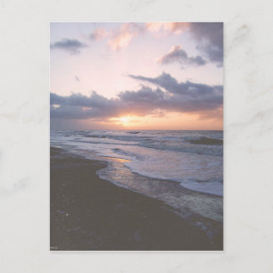 Carte Postale Côte vintage Caroline du Sud